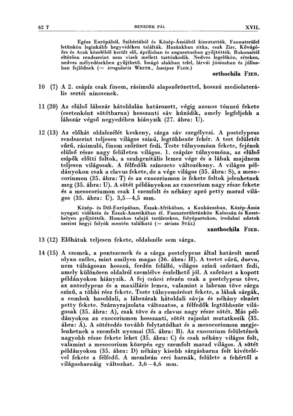 62 7 BENEDEK PÁL XVII. Egész Európából, Szibériából és Közép-Ázsiából kimutatták. Faunaterwel letünkön leginkább hegyvidéken találták.