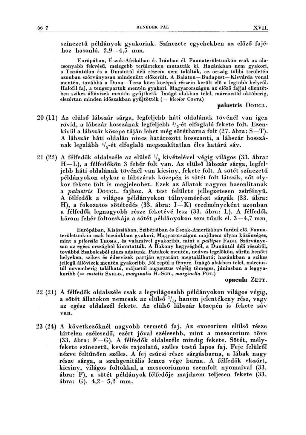 66 7 BENEDEK PÁL XVII. színezetű példányok gyakoriak. Színezete egyebekben az előző fajéhoz hasonló. 2,9-4,5 mm. Európában, Észak-Afrikában és Iránban él.
