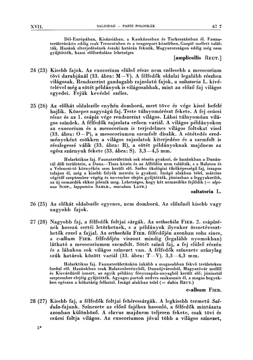 XVII. SALDIDAE - PARTI POLOSKÁK 67 7 Dél-Európában, Kisázsiában, a Kaukázusban és Turkesztánban él. Faunaterületünkön eddig csak Trencsénben és a tengerpart közelében, Gospic mellett találták.