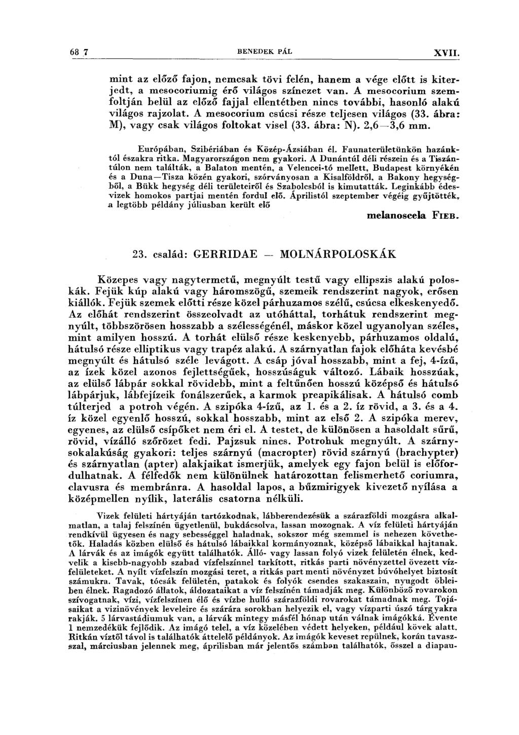 68 7 BENEDEK PÁL XVII. mint az előző fajon, nemcsak tövi felén, hanem a vége előtt is kiter jedt, a mesocoriumig érő világos színezet van.