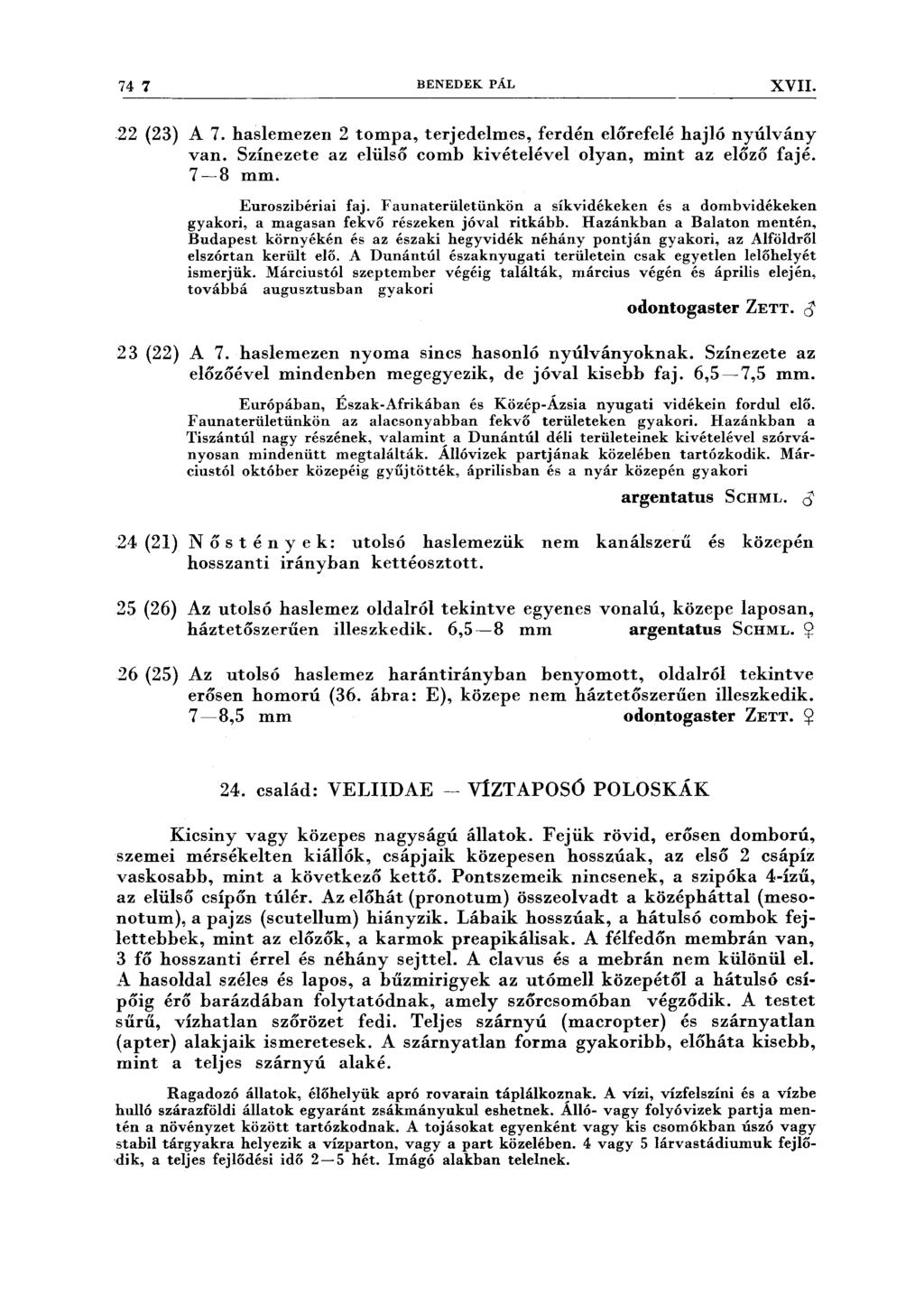 74 7 BENEDEK PÁL XVII. 22 (23) A 7. haslemezen 2 tompa, terjedelmes, ferdén előrefelé hajló nyúlvány van. Színezete az elülső comb kivételével olyan, mint az előző fajé. 7-8 mm. Euroszibériai faj.