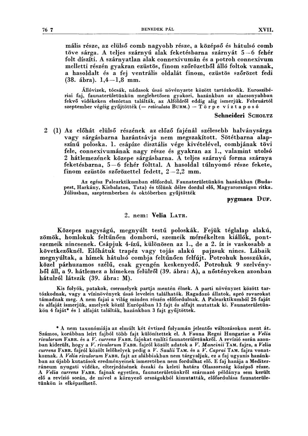 76 7 BENEDEK PÁL XVII. mális része, az elülső comb nagyobb része, a középső és hátulsó comb töve sárga. A teljes szárnyú alak feketésbarna szárnyát 5 ~6 fehér folt díszíti.