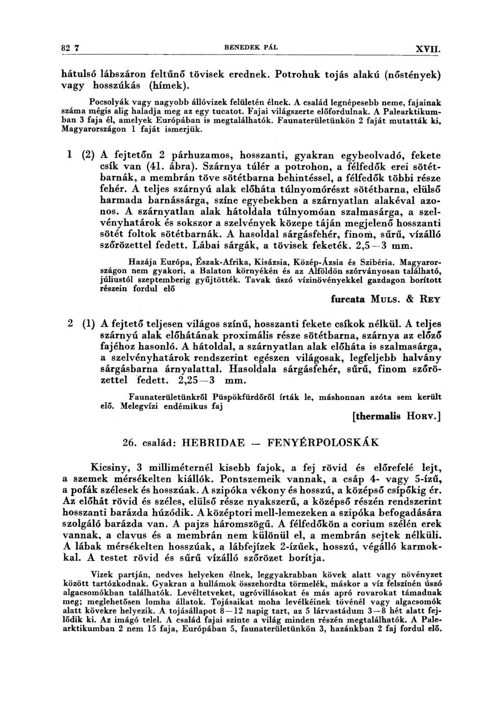 82 7 BENEDEK PÁL XVII. ------------------------------------------------------------ hátulsó lábszáron feltűnő tövisek erednek. Potrohuk tojás alakú (nőstények) vagy hosszúkás (hímek).