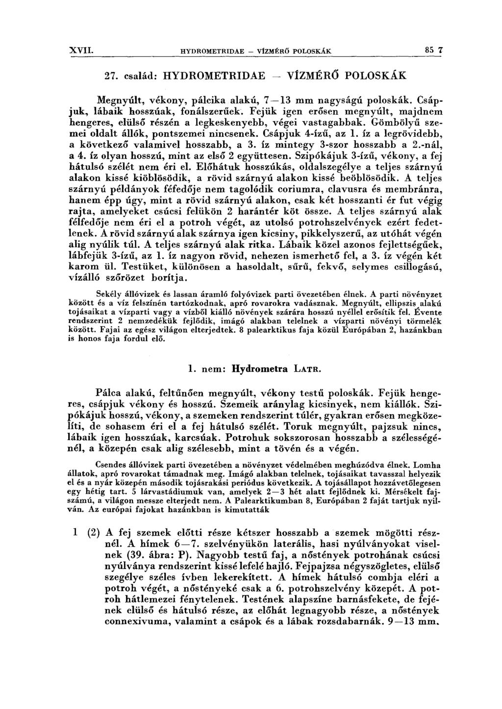 XVII. HYDROMETRIDAE - VÍZMÉRŐ POLOSKÁK 85 7 27. család: HYDROMETRIDAE - VÍZMÉRŐ POLOSKÁK Megnyúlt, vékony, pálcika alakú, 7-13 mm nagyságú poloskák. Csápjuk, lábaik hosszúak, fonálszerűek.