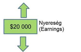 Net income/earnings