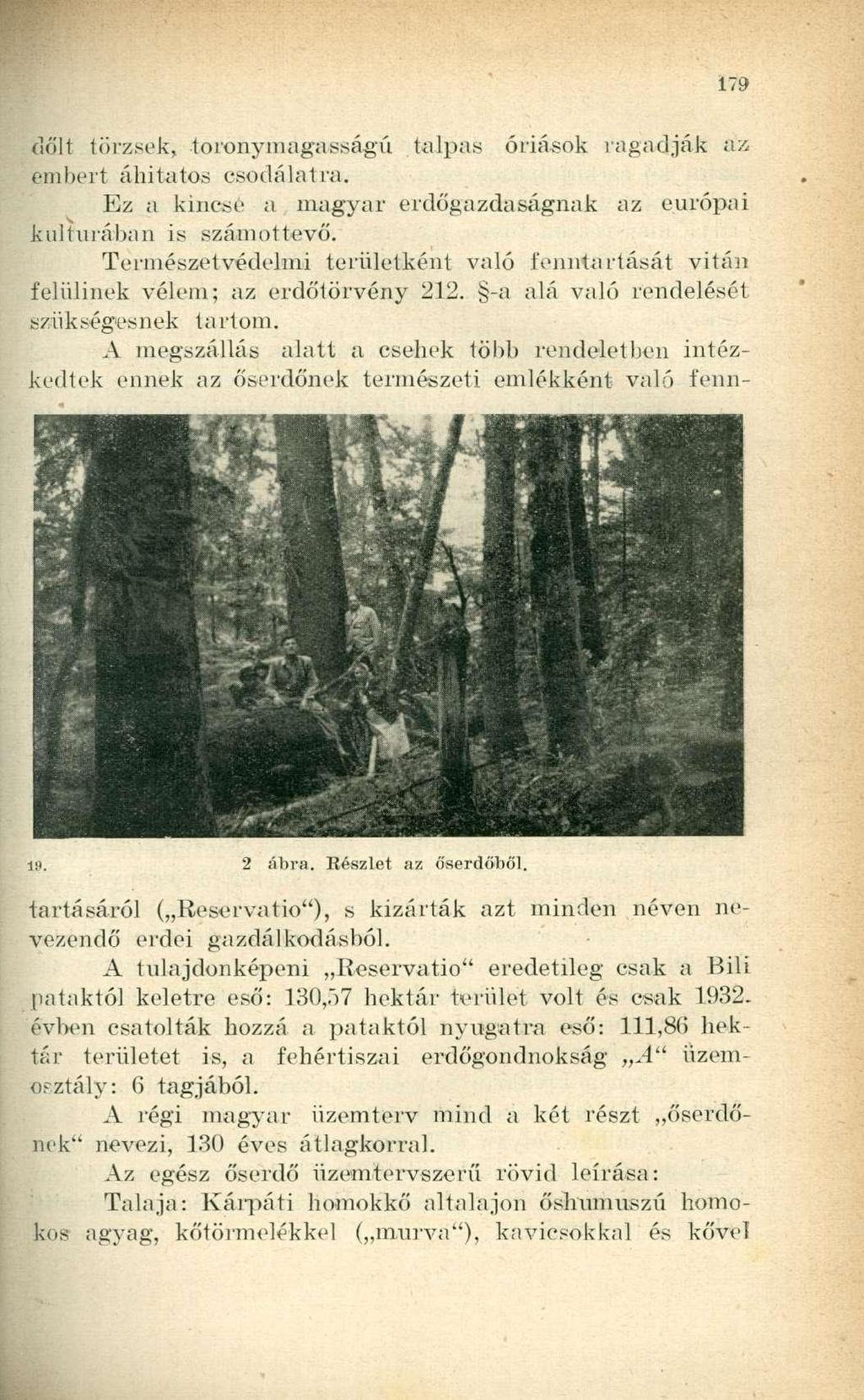 dőlt törzsek, toronymagasságú talpas óriások ragadják áz embert áhítatos csodálatra. Ez a kincse a magyar erdőgazdaságnak az európai kultúrában is számottevő.