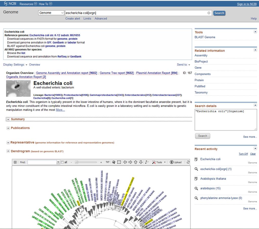 Genome: http://www.ncbi.nlm.nih.