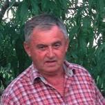 Magnéziumhiánynál a növények levelei a főerek között két sávban sárgulnak, majd elhalnak és lehullanak. Javasolt termék a megelőzésre és gyógyításra: FitoHorm 24 Mg vagy Magnézium.
