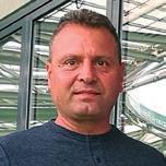 ÁLTALÁNOS LOMBTRÁGYÁZÁSI AJÁNLÁS CSERESZNYE- ÉS MEGGY TERMESZTÉSBEN KIJUTTATÁS KERTÉSZET Magnéziumhiánynál a cseresznye és a meggy levelén, általában a főér mentén, két oldalon, ritkábban a szélen az