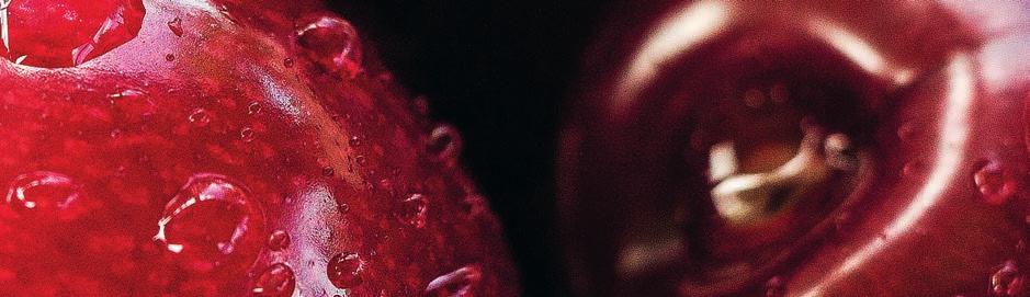 A levelek sárgulása a hajtáscsúcson a hiány (tényleges vagy relatív) mértékétől függően alakul ki, és akár az egész növény is elsárgulhat.