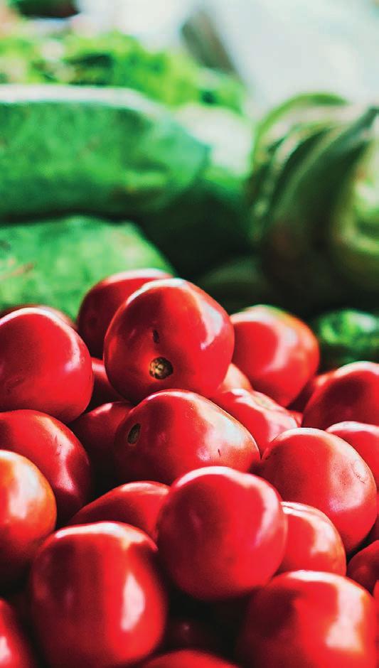 HOBBI A FitoHorm Komplex Plusz, mint neve is elárulja, olyan összetett, szilárd öntöző műtrágya, amely a