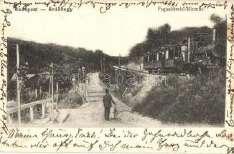 Zu gliget, villamos