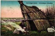Hortobágy, Gul yás az