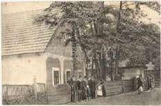 Kékes, napnyugt a (fa) T3