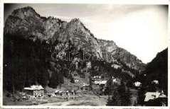 Gheorgheni; libák a 1000 21621.