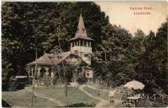 Silvaniei; fő 2000 21887.