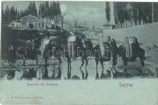 Chernivtsi, Czern owitz;