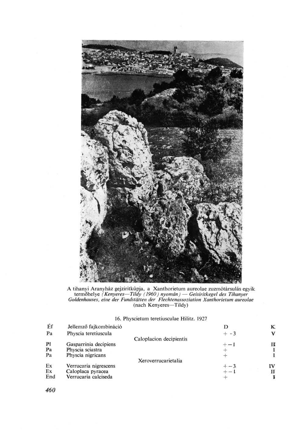 A tihanyi Aranyház gejziritkúpja, a Xanthorietum aureolae zuzmótársulás egyik termőhelye (Kenyeres Tildy (I960) nyomán) Geisiritkegel des Tihanyer Goldenhauses, eine der Fundstätten der