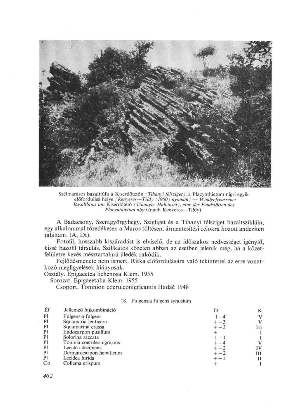 Szélmarásos bazalttufa a Kiserdőtetőn ( Tihanyi félsziget), a Placynthietum nigri egyik előfordulási helye [Kenyeres Tildy (1960) nyomán] Windgefreassener Basaltbims am Kiserdőtető (