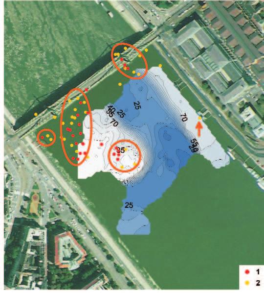6. ábra. Szökevényforrások, forráscsoportok és a szeizmikus aljzattérkép PRÓNAY et al. (2000) nyomán 1 közepes szökevényforrások, 2 nagy szökevényforrások Figure 6.
