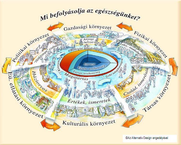 Különbség van a nemek tekintetében is: a férfiak hazánkban alig több mint 72 évre számíthatnak, míg egy átlagos uniós állampolgár 78 évre.