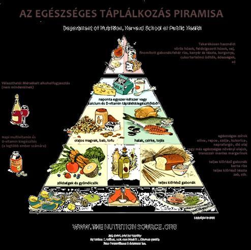 rohamos fejlődésen ment keresztül, de gyökerei egyidősek az emberiséggel.