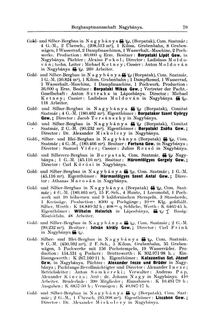 Berghau ptmannschaft Nagybánya. 77 Gold- und Silber-Bergbau in Nagybánya SS ^ (Borpatak), Comitat Szatmár ; 4 G.-M. (180.462 m 2 ). Eigenthiimer : Borpataker Szent György Gew.