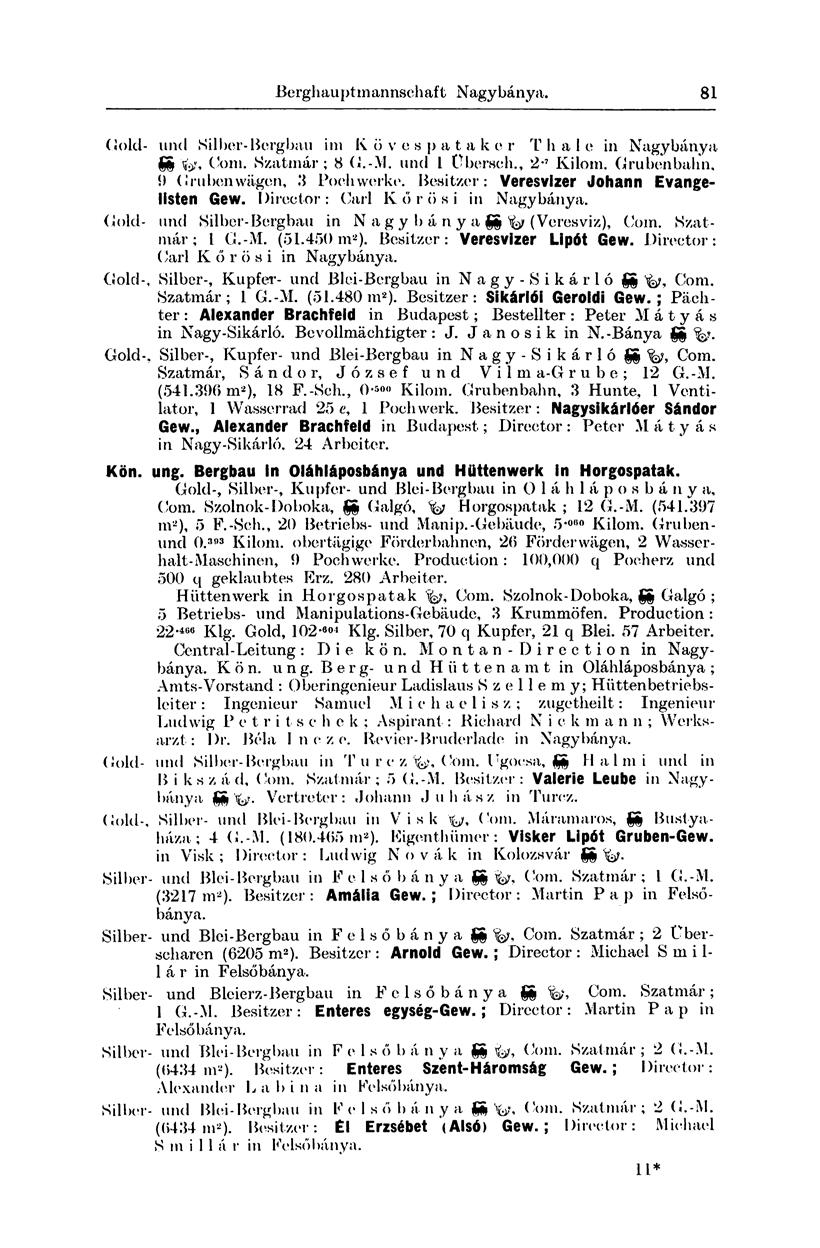 Berghauptmannschaft Nagybánya. 81 (Jold- und Silher-Bergbau im Köves patakor T li a 1 e in Nagybánya SS Com. Szatmár; 8 G.-M. und l Übersch., 2-7 Kilom. Grubenbahn, í) Grubenwägen, 3 Pochwerke.