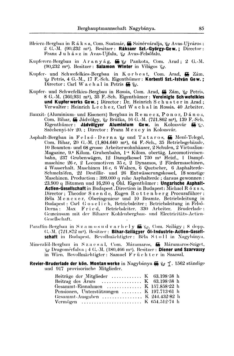 Berghauptmannschaft Nagybánya. 83 Bleierz-Berghau in R á k s a, (bin. Szatmár, SS Szinérváralja, fa Avas-Ujváros : 2 Cí.-M. («0.232 ni 2 ). Besitzer: Ráksaer Szt.-György-Gew.