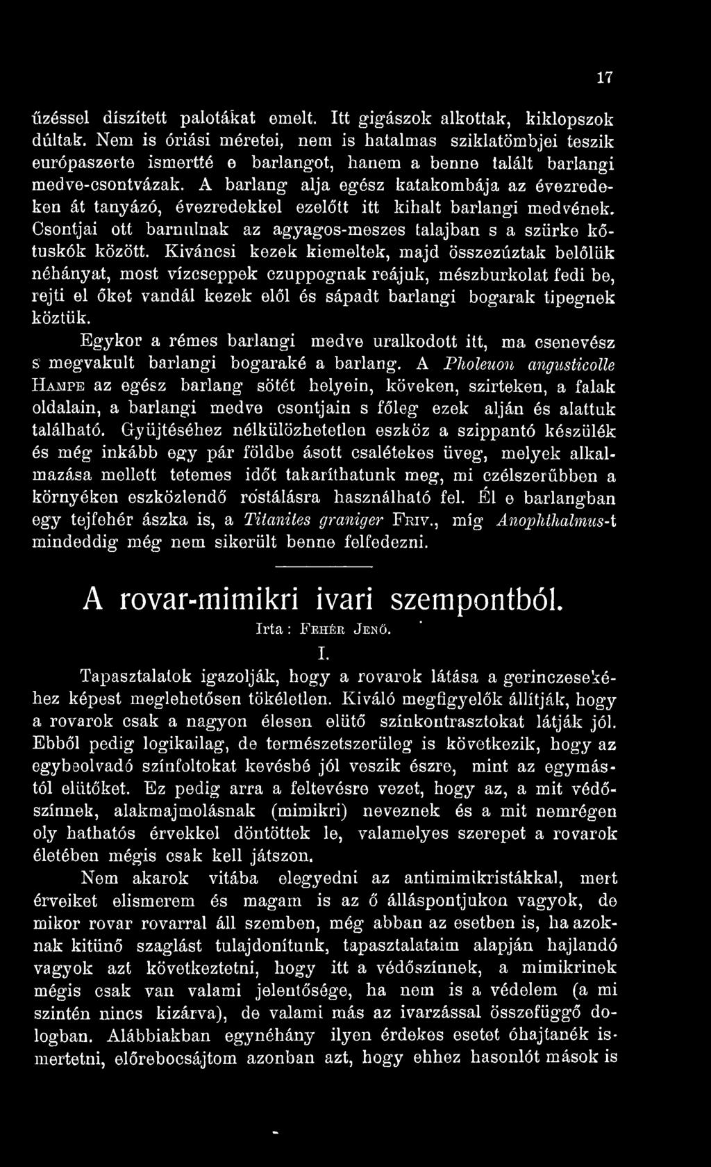 A barlang alja egész katakombája az évezredeken át tanyázó, évezredekkel ezeltt itt kihalt barlangi medvének. Csontjai ott barnulnak az agyagos-meszes talajban s a szürke k- tuskók között.