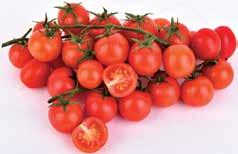 PIROS KALIFORNIAI PAPRIKA