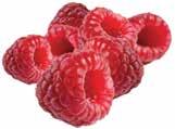 KLEMENTIN FALÁDÁBAN 2,3 kg, 521