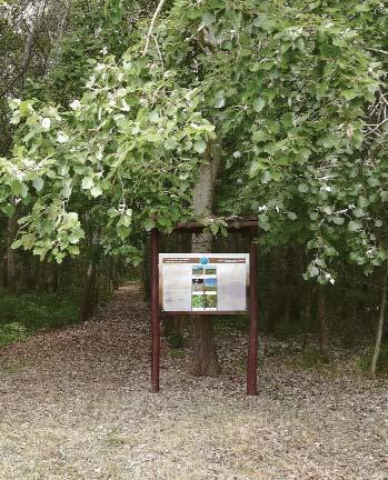 Bökényi tanösvény A Bökényi tanösvény a Körös- Maros Nemzeti Park Maros-ártér részterületén található.