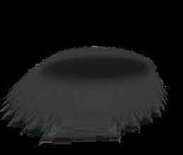 279 79 219 349