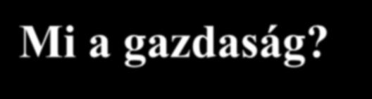 Mi a gazdaság? Gazdasági jéghegy Bérmunka Piacra termelés Tőkés vállalat Forrás: Czirfusz M.