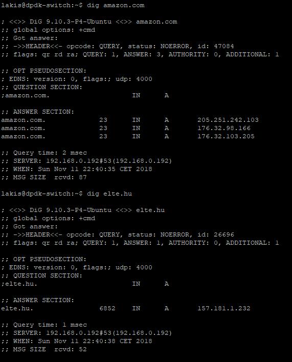 Domain nevek