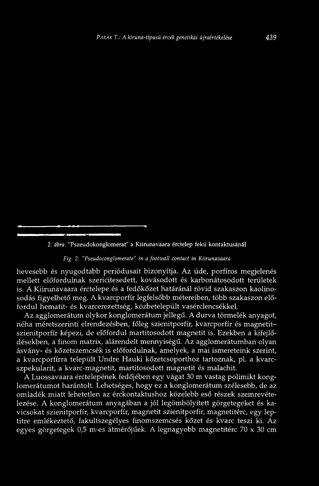 PÁRÁK T.: A kiruna-típusú ércek genetikai újraértékelése 439 2. ábra. "Pszeudokonglomerat" a Kiirunavaara érctelep fekü kontaktusánál Fig. 2. "Pseudo-conglomerate" in a footwall contact in Kiirunavaara hevesebb és nyugodtabb periódusait bizonyítja.