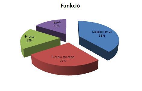 MS/MS tömegspektrometria eredményeképp kapott adatok alapján az élesztős mintából 138, a micéliális mintából 85 fehérje peptidjével talált egyezést a program (Melléklet 11. táblázat).