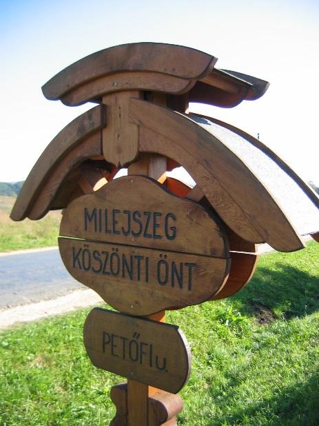 A szabdalt felszíneket, illetve a nedves völgyeket legelőként, erdőként hasznosítják. Természetes növénytakarója a dombokon a zalai bükkös.