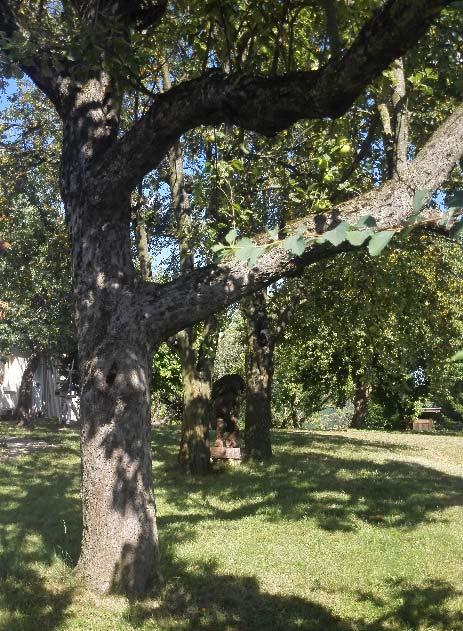 pasztelles földszínűek, sötétebb