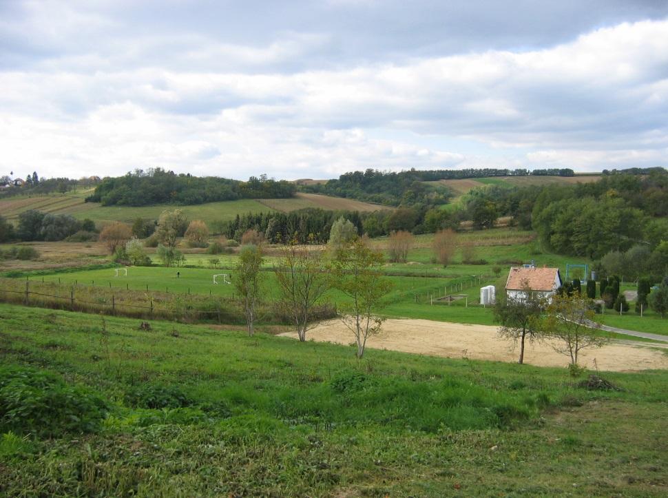 Zsigmond utcában parkosított, az