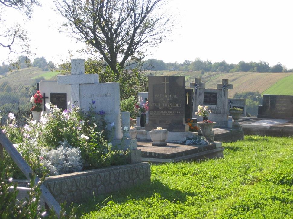 Az utca felőli oldalon néhány lucfenyő áll, kerítése északi szegélyén