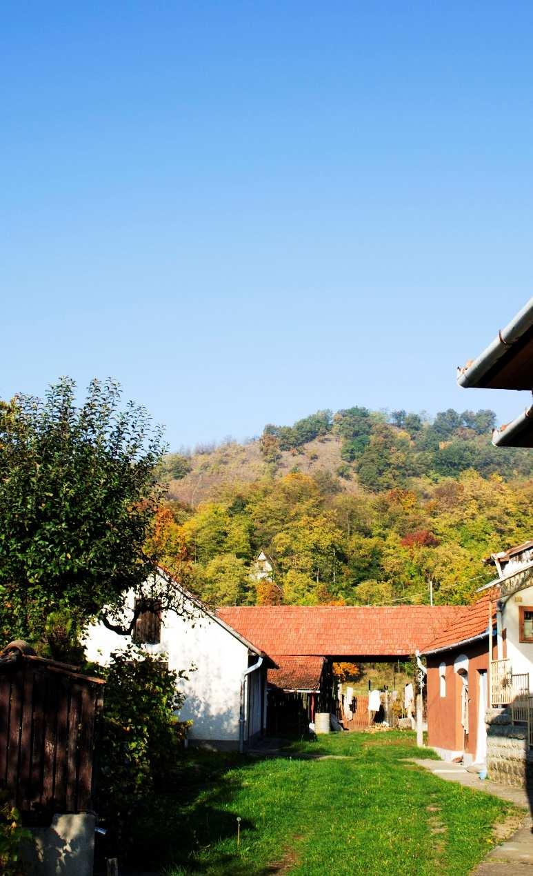A telek utca felőli végéhez közel (utcavonalasan, vagy előkertesen, ebben az esetben virágos kerttel) helyezkedett el a hosszú lakóház. A telek annak funkciójához igazodóan több részre oszlott.