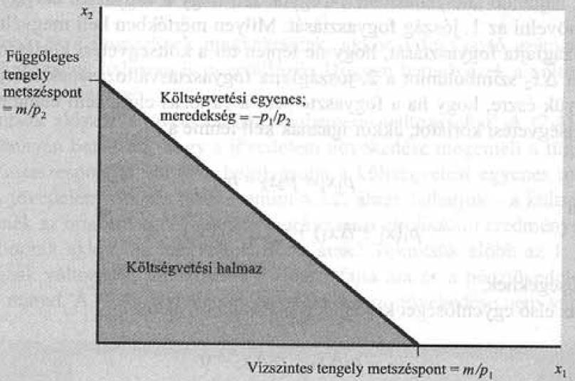 Költségvetési egyenes és ármérce Költségvetési egyenes: i. m = p 1 x 1 + p 2 x 2 (+ + p n x n ) ii.