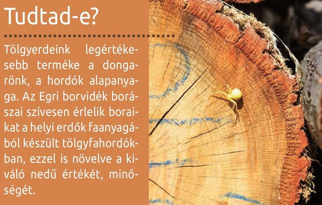A Felsőtárkányi Erdészet vadászati hírneve is régi, a kövek alatti hegyoldalak, a Pazsag körüli volt szatmári püspöki erdő, a Hór-völgy vidéke, a cserépfalusi Mocsáros-ház környéke napjainkban is