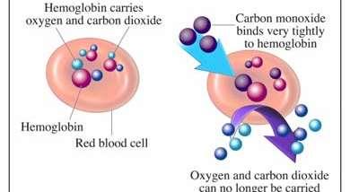 CO-carboxyhemoglobin Stabil komlpexet képez a hemoglobinnal A hemoglobin tetramer, 4 oxigénkötő hellyel A CO megkötése következtében megnő a maradék három hely