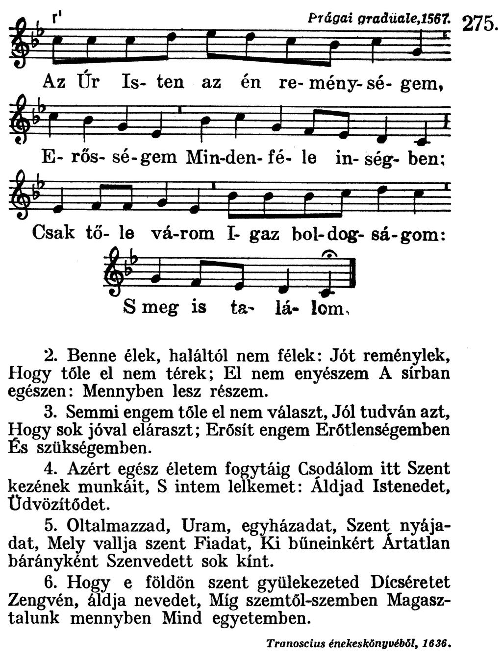 AVAGY MEGRÖVIDÜLT-E