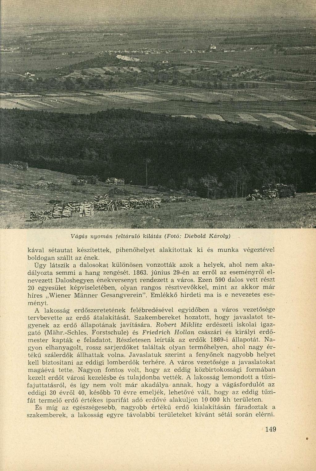 Vágás nyomán feltáruló kilátás (Fotó: Diebold Károly) kával sétautat készítettek, pihenőhelyet alakítottak ki és munka végeztével boldogan szállt az ének.