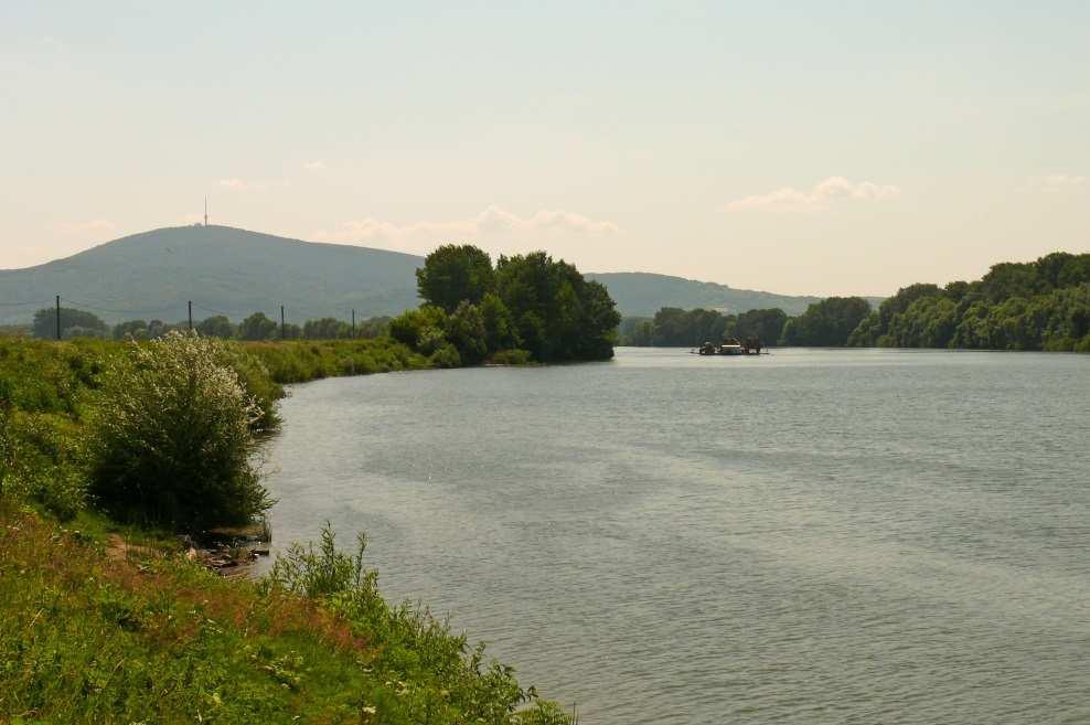 A Tisza és a Tokaji-hegy