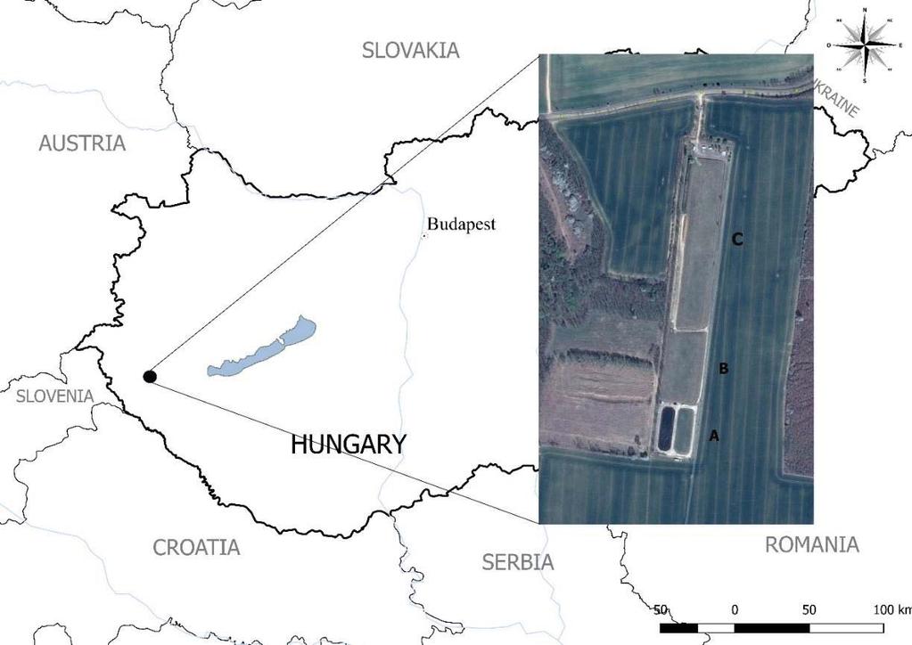 harmadik A tározót fedetlen és fedett állapotban is megvizsgáltam. Az A tározót, a mintavételt megelőzően 5 évvel nyitották és 3 év alatt folyamatosan került feltöltésre.